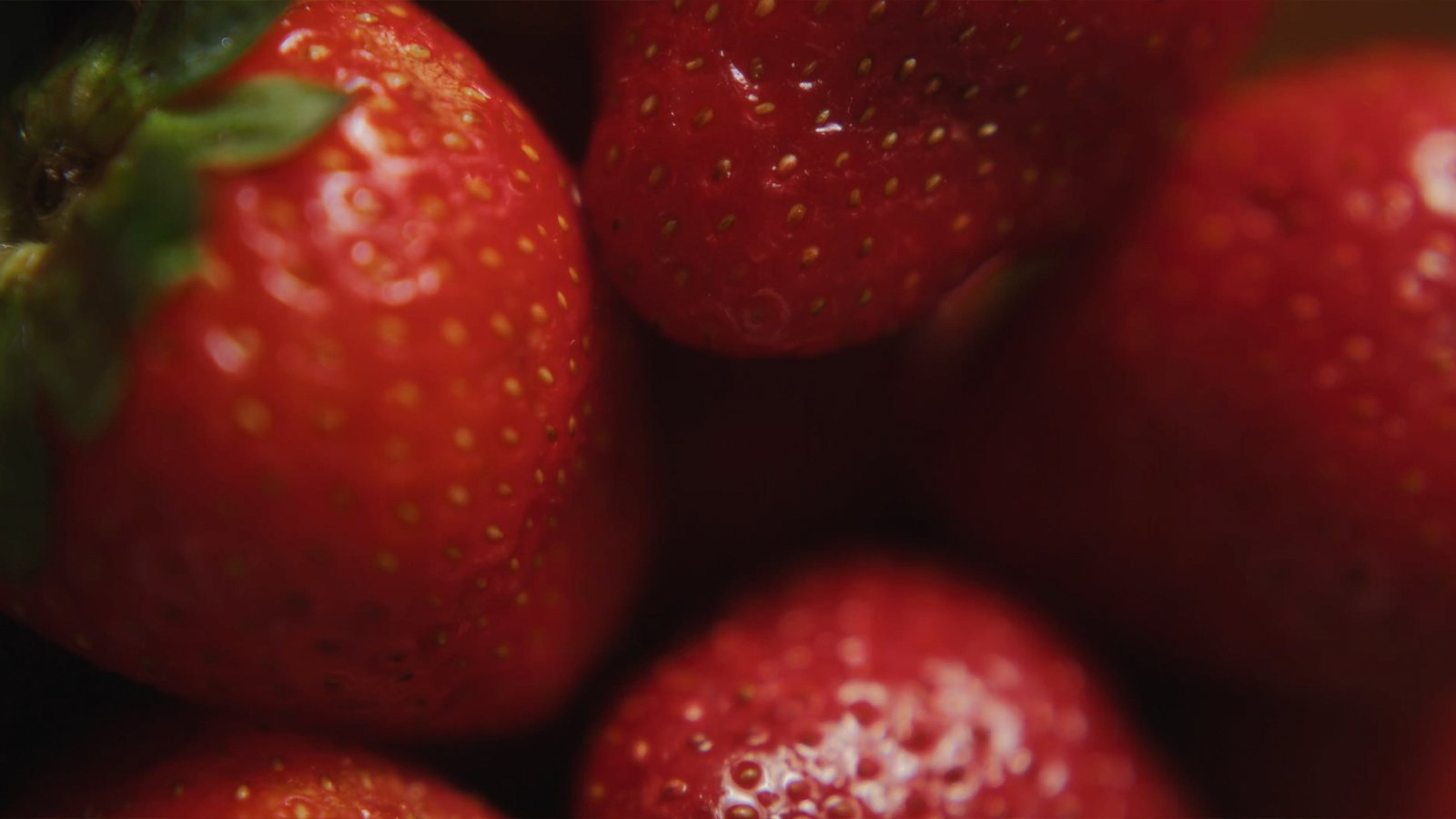 Bytropic Nutrition — frame 1
