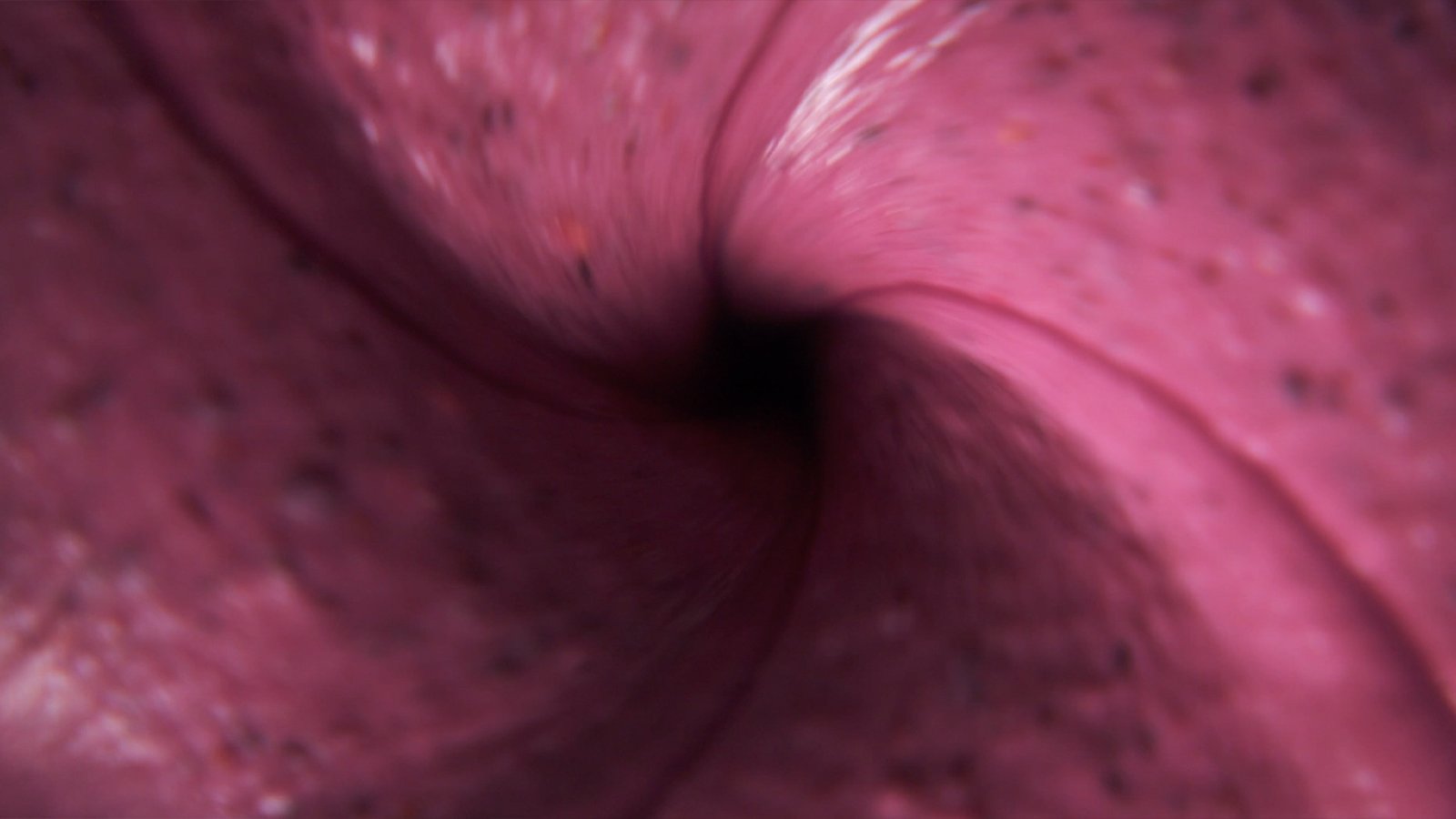 Bytropic Nutrition — frame 3