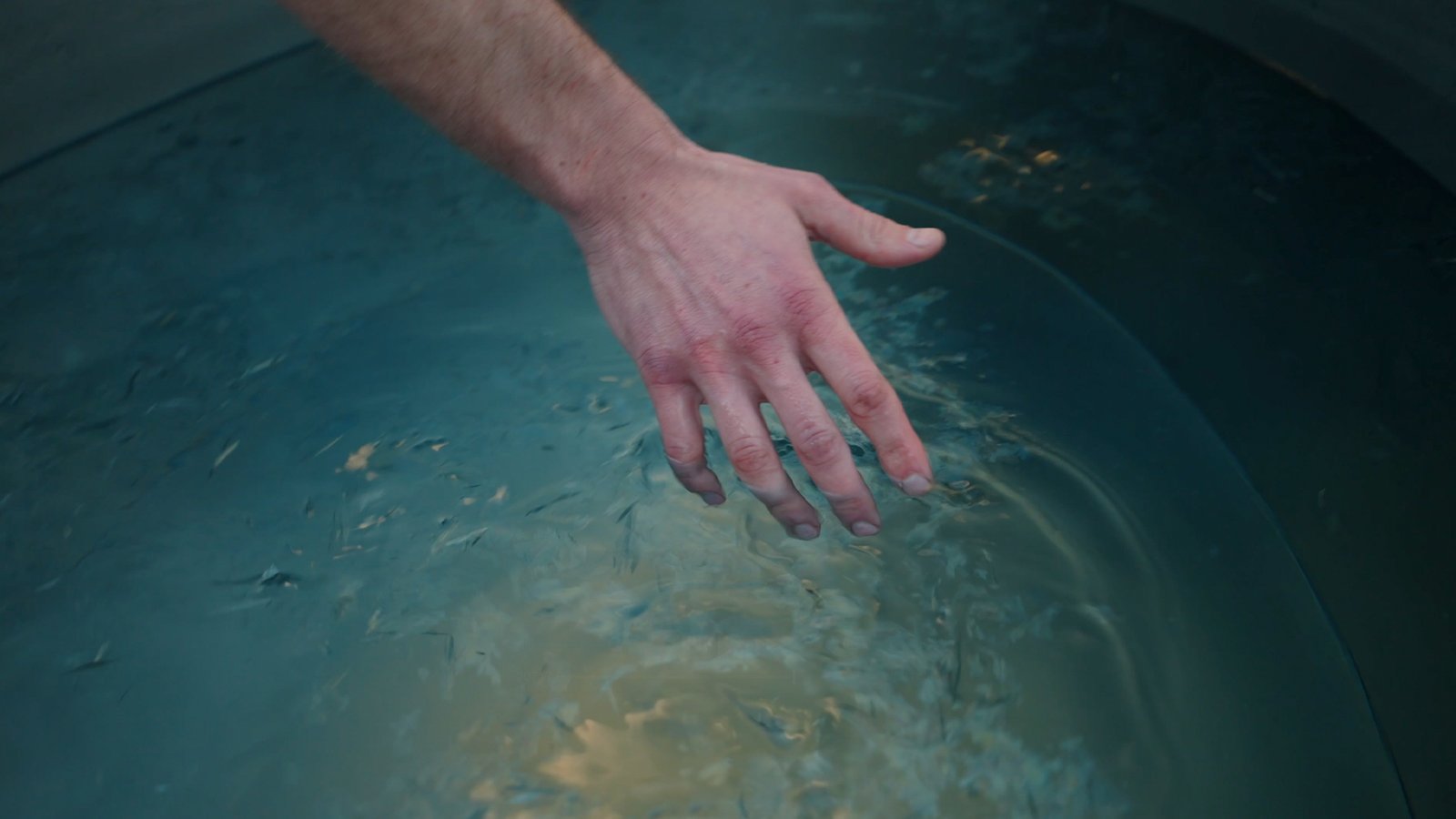 Koud × The Breath Haus — frame 5